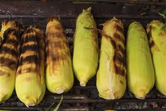 grilled corn on the cob with brown and yellow stripes