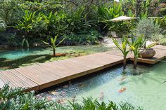 a wooden bridge over a small pond surrounded by greenery