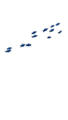 a flock of birds flying in the sky