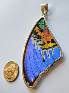 Beautiful butterfly wing pendant! This pendant is made with REAL naturally harvested butterfly wings. The wings are inlaid in the highest quality .950 silver frame and covered with durable crystal clear acrylic. A quarter is seen next to each image to present the exact size. The pendant's .950 silver bail allows a variety of your chain or cord choices. Nature Art Butterflies has been around for over 20 years and we are a conservation friendly business that seeks out naturally expired butterflies Real Butterfly Necklace, Real Butterfly Wing Jewelry, Butterfly-shaped Crystal Jewelry For Gifts, Resin Butterfly Wing Earrings, Butterfly Wing Jewelry, Iridescent Butterfly-shaped Handmade Jewelry, Wing Jewelry, Morpho Butterfly, Butterfly Wing Earrings