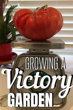 a tomato sitting on top of a scale with the words growing a victory garden over it