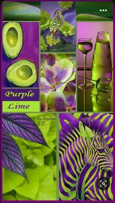 a collage of pictures with different things in them including flowers, plants and wine glasses