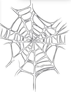 a spider web is shown in this black and white drawing, it appears to be very intricate