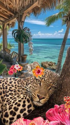 a large leopard laying on top of a lush green field next to the ocean and palm trees