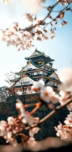 a tall white building sitting on top of a hill next to cherry blossom trees in front of it