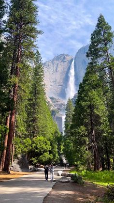 two people are walking down the road in front of a waterfall and some tall trees