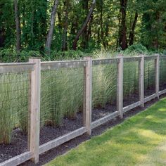 a row of wooden fences with grass growing between them and trees in the back ground