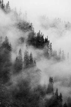 the mountains are covered in fog and trees