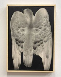 a black and white photo of an angel's wings on display in a wooden frame