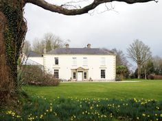 a large white house sitting on top of a lush green field next to a tree