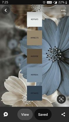 Paint Color Schemes, House Color Schemes, Nature Color Palette, Pallet Painting