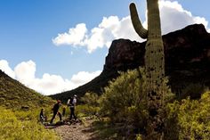 three people walking up a trail near a large cactus