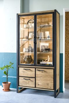 a wooden cabinet with glass doors and drawers on the bottom, next to a potted plant