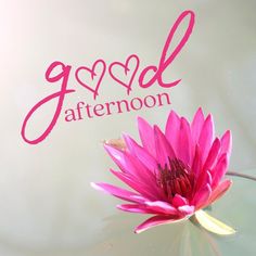 a pink flower sitting on top of a table next to a sign that says god afternoon