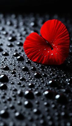 a red heart sitting on top of a black surface covered in raindrops and water droplets