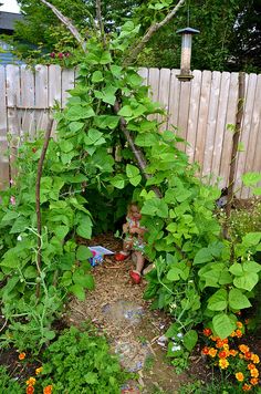 the garden is full of plants and flowers