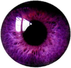 an eyeball is shown in this image