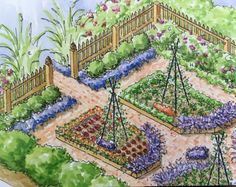 an artist's rendering of a vegetable garden