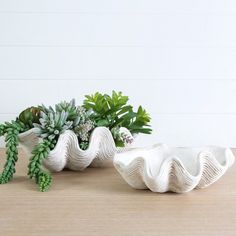 two white vases with succulent plants in them on a wooden table next to each other