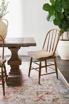 two chairs sitting at a table with a potted plant in the corner next to it