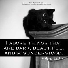 Black Cat Quotes, Cat Spirit, The High Priestess, High Priestess, Cat Quotes, Animal Quotes, Crazy Cat Lady, Beautiful Cats