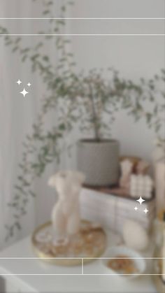 a white teddy bear sitting on top of a table next to a potted plant