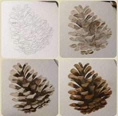 four different pictures of pine cones on white paper