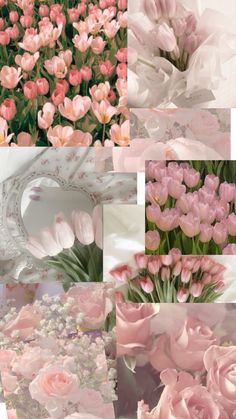 many different images of pink flowers with white petals