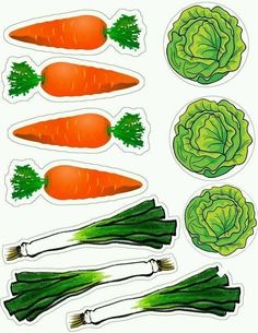 carrots, lettuce and celery stickers on a white background