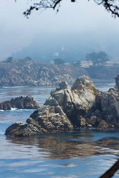 rocks in the water with fog over them