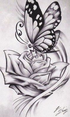 a drawing of a butterfly on top of a rose