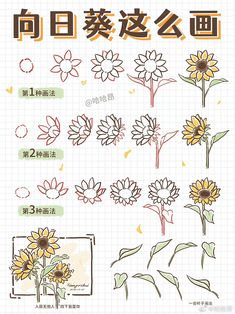 various flowers are drawn in chinese characters