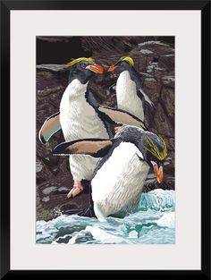 three penguins are standing in the water together