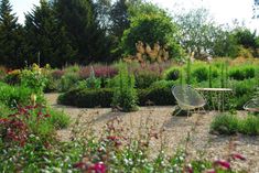 a garden filled with lots of different types of plants