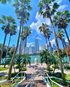 palm trees and stairs leading to the beach in miami, florida with skyscrapers in the background