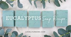 eucalyptus soap recipe displayed on white cloth with green leaves