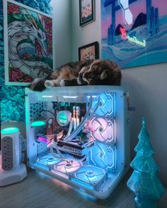 a cat that is laying down on top of a computer case in front of some pictures