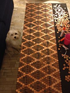 a dog is sitting on the floor next to a table made out of penny coins