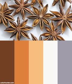 an assortment of spices arranged on top of each other in shades of orange, brown and white