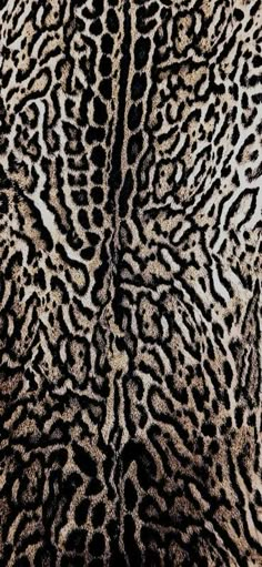 an animal skin pattern is shown in black and white