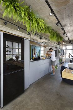 a man standing in a kitchen with plants hanging from the ceiling