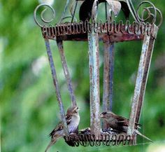 two birds sitting on top of a metal bird feeder hanging from it's side