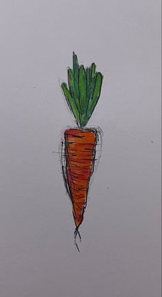 a drawing of a carrot with green leaves on it's top and bottom end