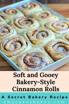 Soft and Gooey Bakery-Style Cinnamon Rolls: a Bakery Recipe Sweet Yeast Dough Recipes, Cinnamon Rolls Instant Yeast, Rolls Instant Yeast, Sweet Yeast Rolls Recipe, Home Made Cinnamon Rolls, Sweet Yeast Rolls, Gooey Cinnamon Rolls, Yeast Rolls Recipe, Cinnabon Cinnamon Rolls