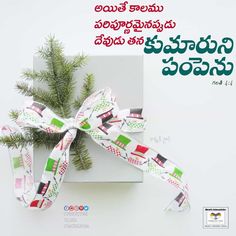 an advertisement for christmas presents with a bow on the front and green pine tree in the back