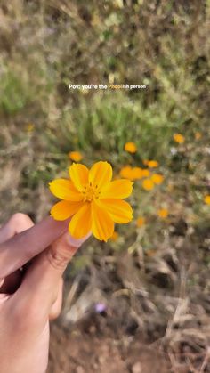 a person holding a flower in their hand