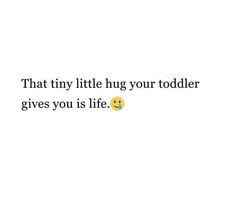 the text that says, that tiny little hug your todder gives you is life