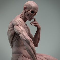 an image of a human figure with muscles