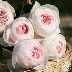 pink and white flowers in a wicker basket