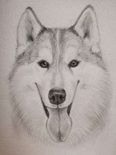 a drawing of a wolf with its mouth open and tongue hanging out to the side